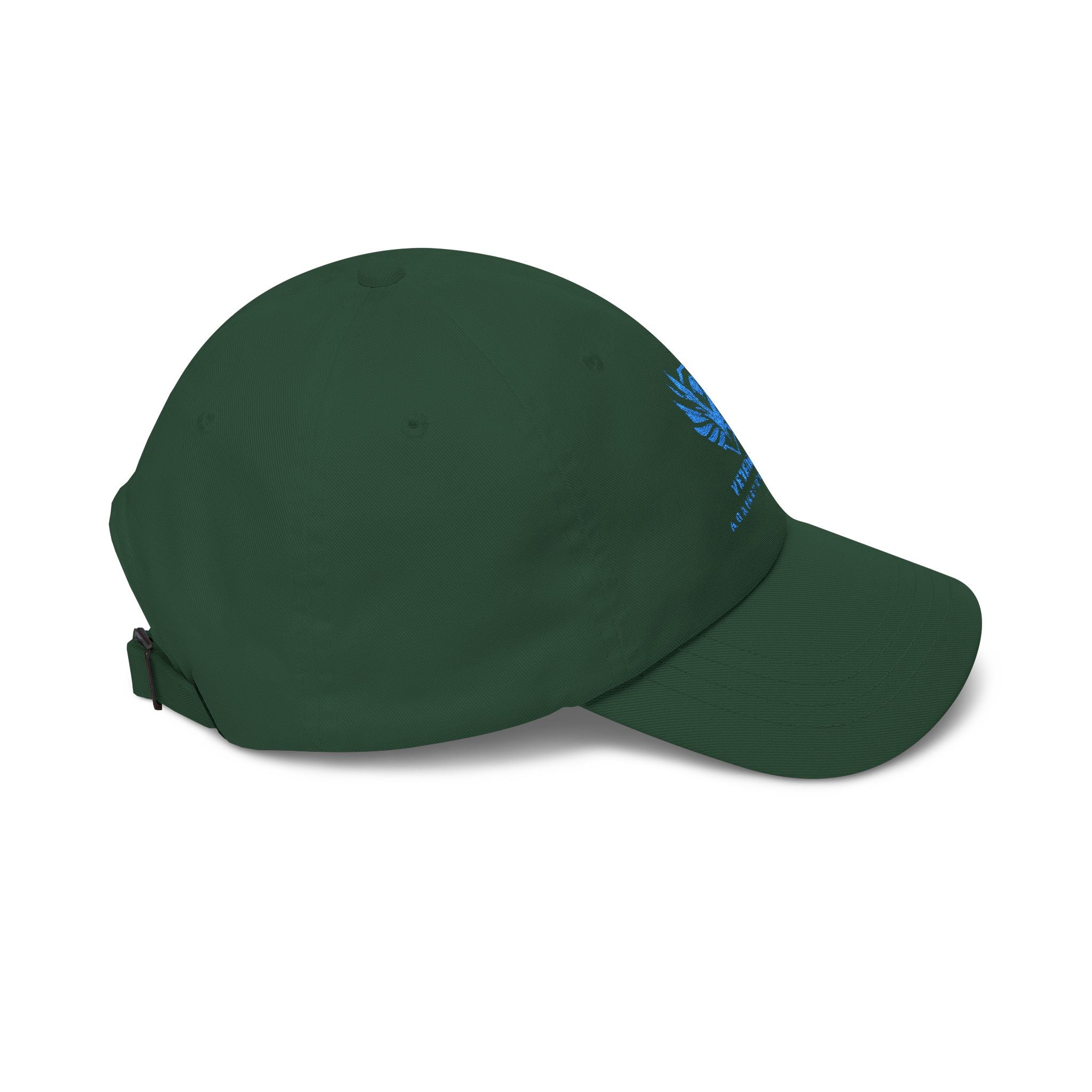 Veterans Against Diabetes Dad Cap — Embroidered Blue Logo Hat