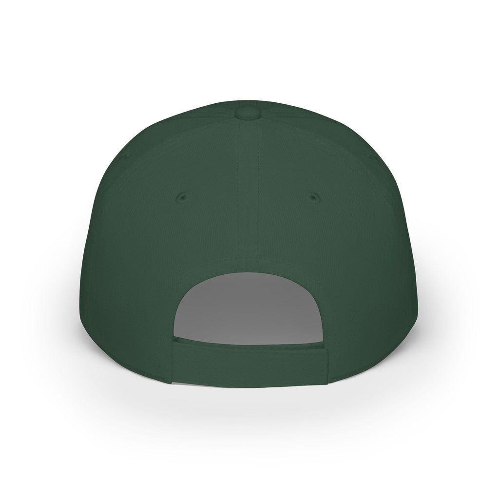Veterans Against Diabetes Low Profile Baseball Cap – Blue Phoenix Logo