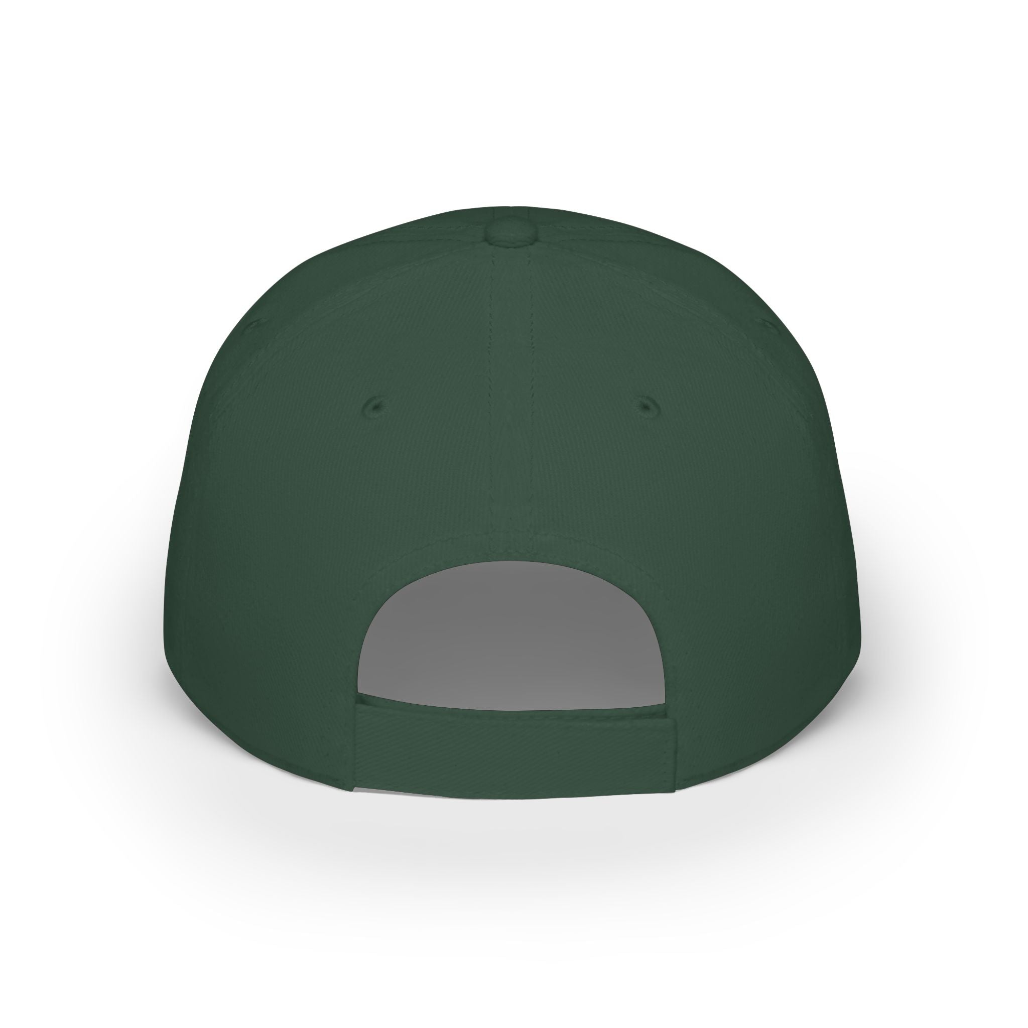 Veterans Against Diabetes Low Profile Baseball Cap – Blue Phoenix Logo