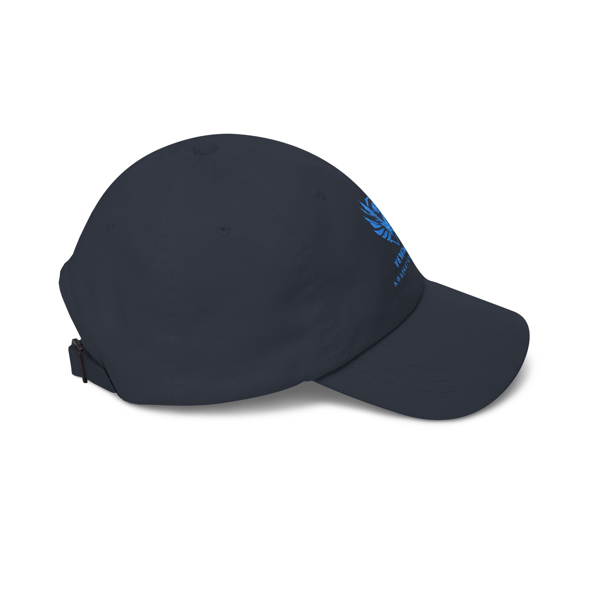 Veterans Against Diabetes Dad Cap — Embroidered Blue Logo Hat
