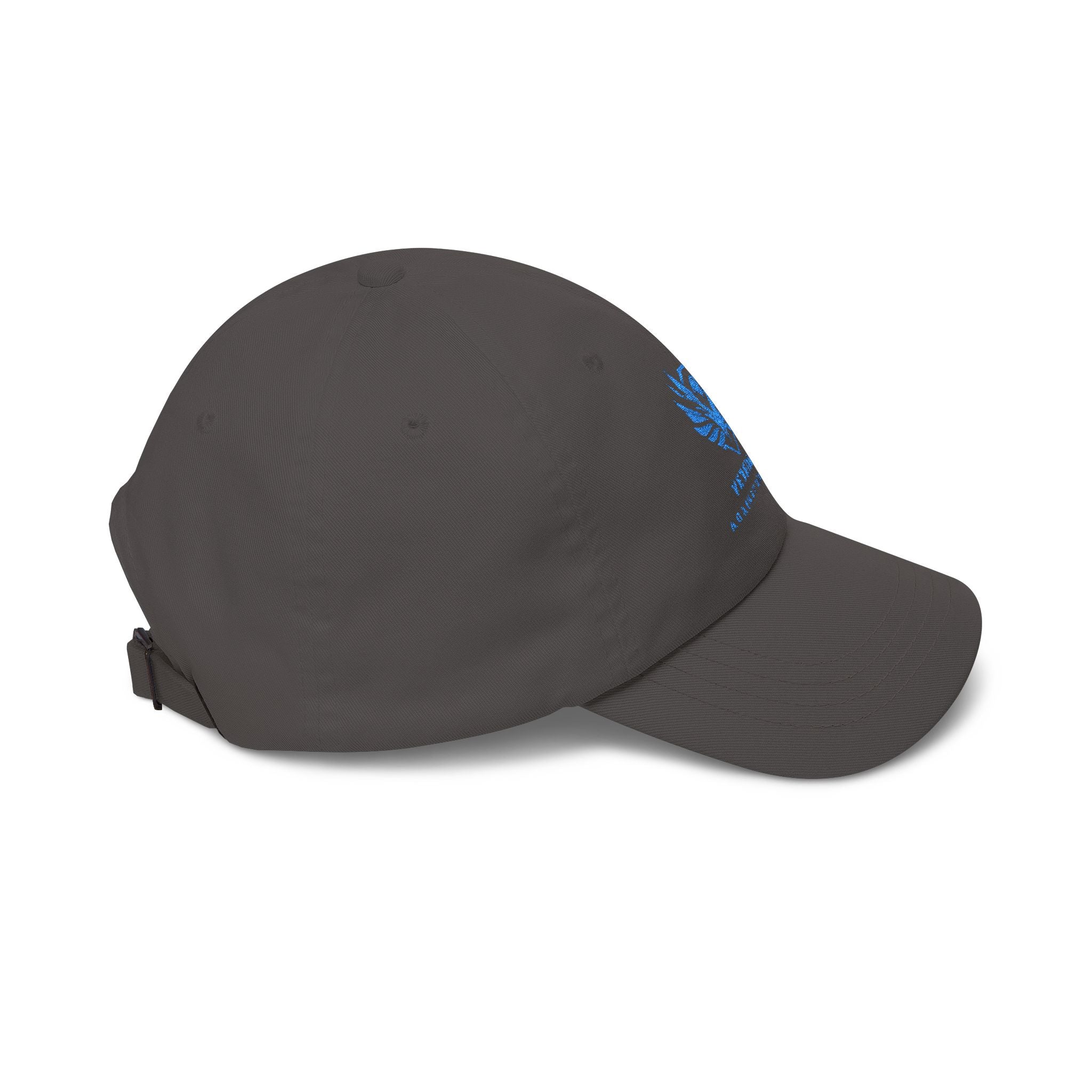 Veterans Against Diabetes Dad Cap — Embroidered Blue Logo Hat