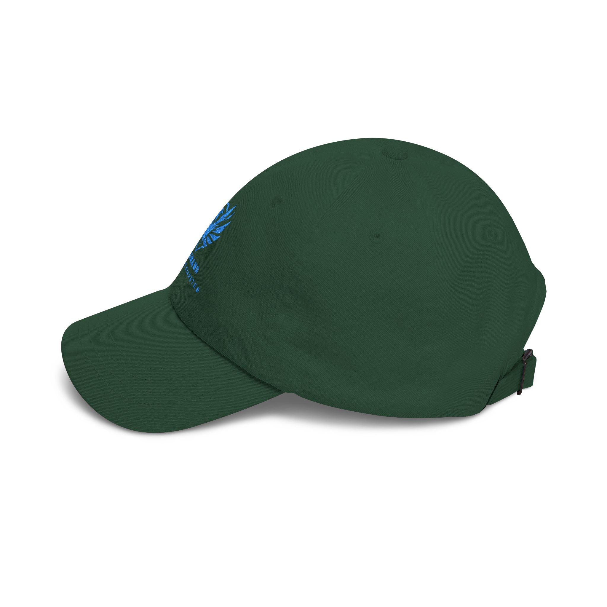 Veterans Against Diabetes Dad Cap — Embroidered Blue Logo Hat