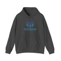 Veterans Against Diabetes Hoodie – Blue Phoenix Logo Comfort Pullover