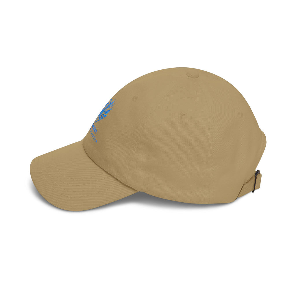 Veterans Against Diabetes Dad Cap — Embroidered Blue Logo Hat