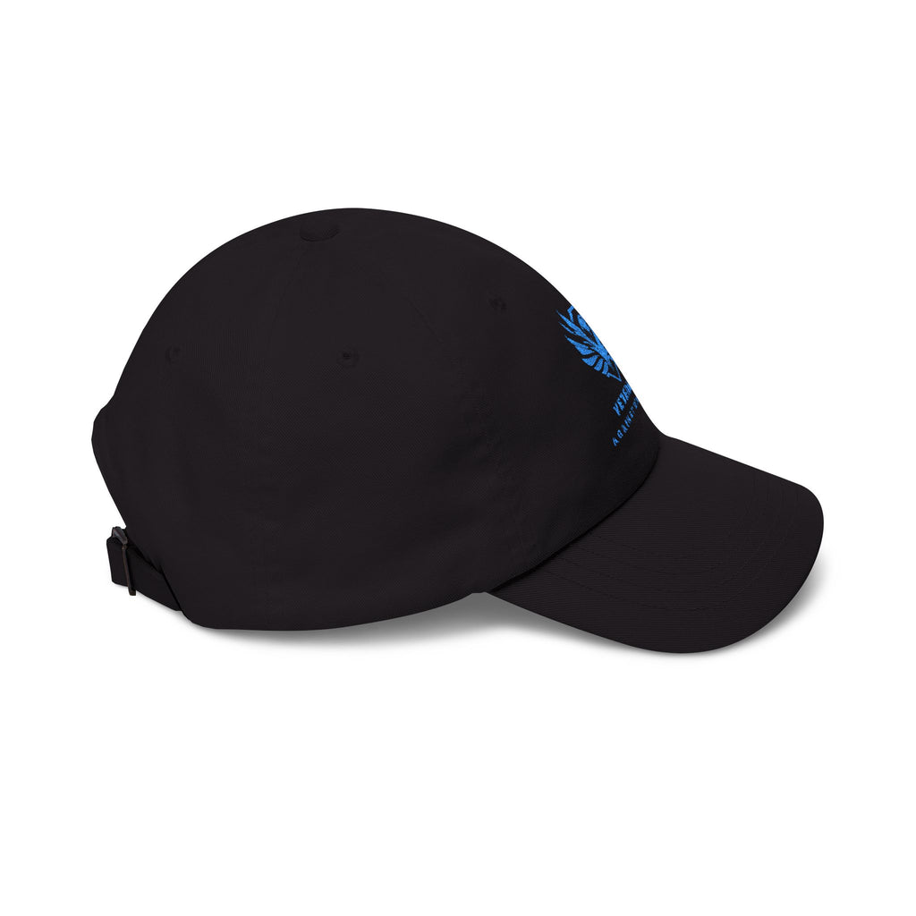 Veterans Against Diabetes Dad Cap — Embroidered Blue Logo Hat