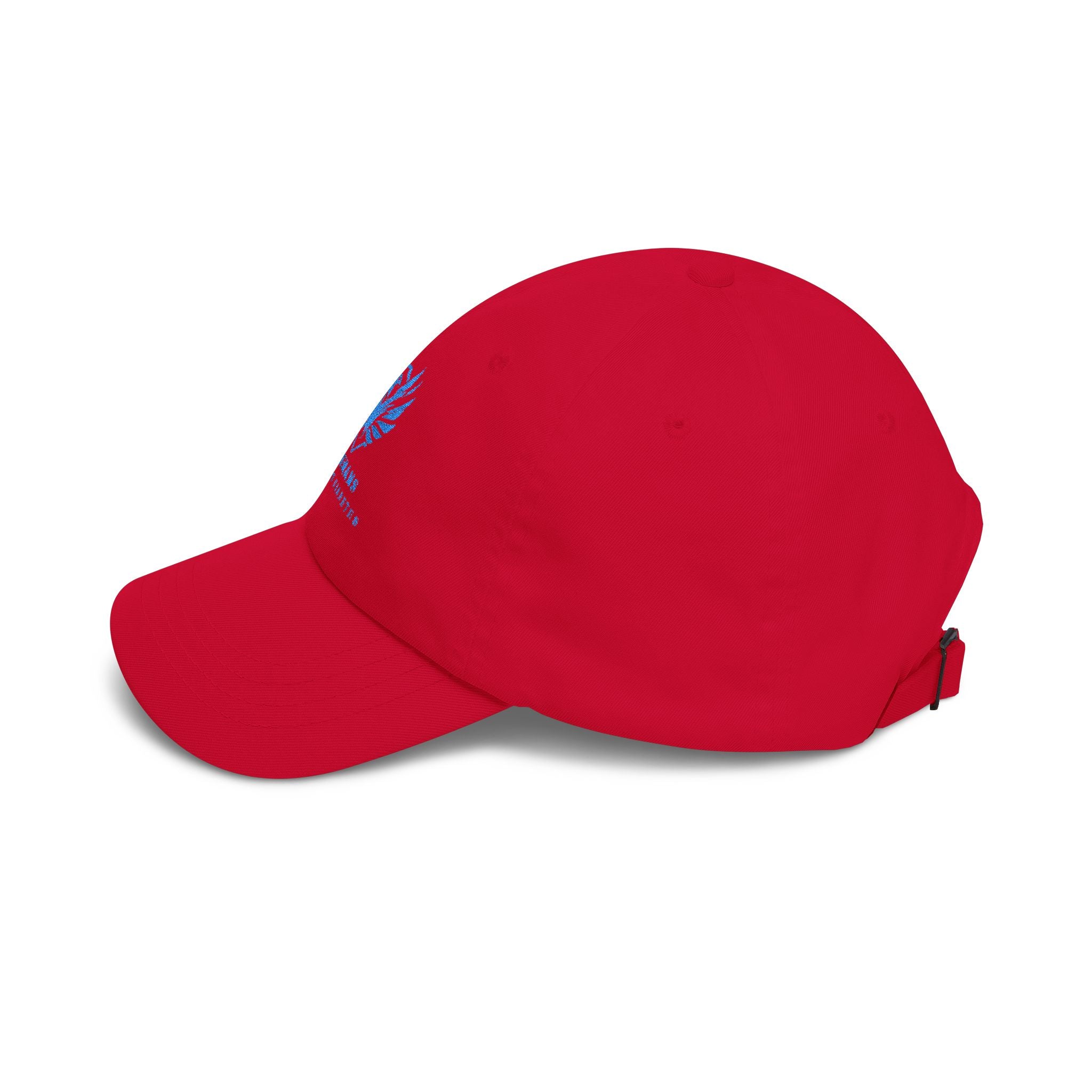 Veterans Against Diabetes Dad Cap — Embroidered Blue Logo Hat