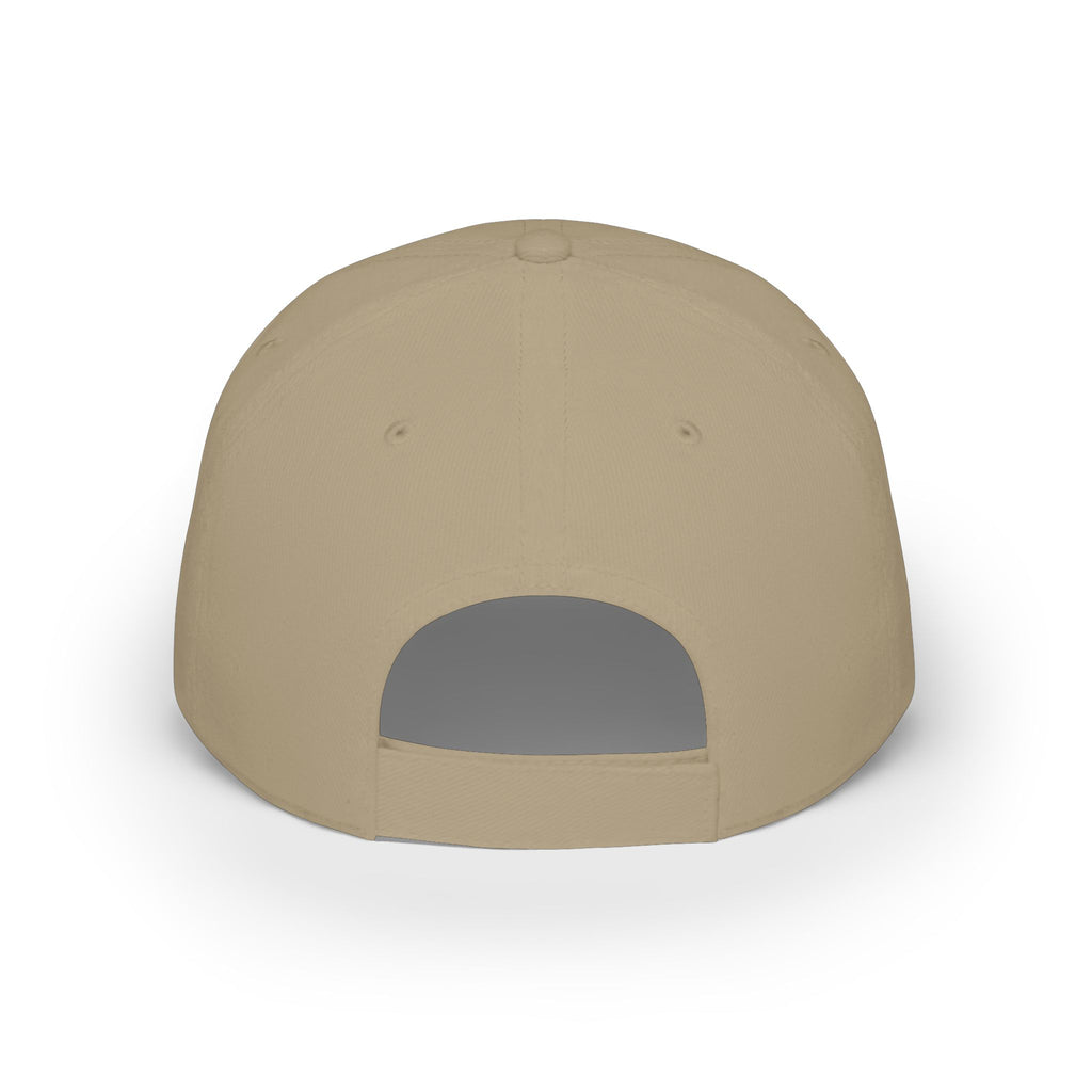 Veterans Against Diabetes Low Profile Baseball Cap – Blue Phoenix Logo