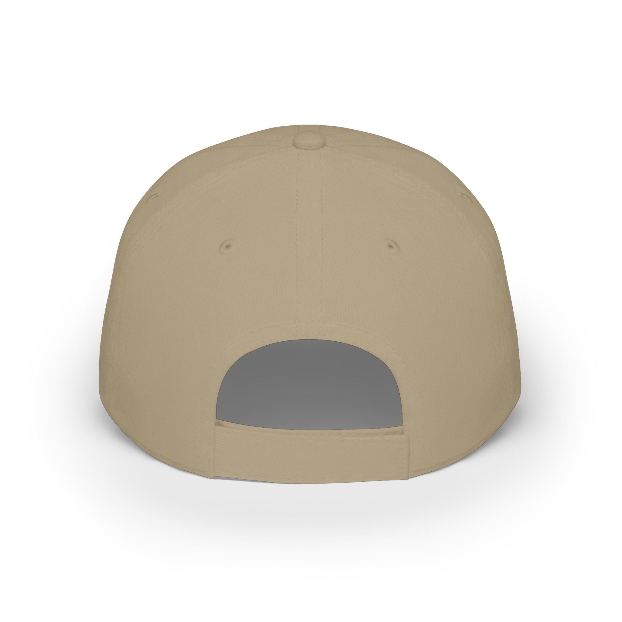 Veterans Against Diabetes Low Profile Baseball Cap – Blue Phoenix Logo
