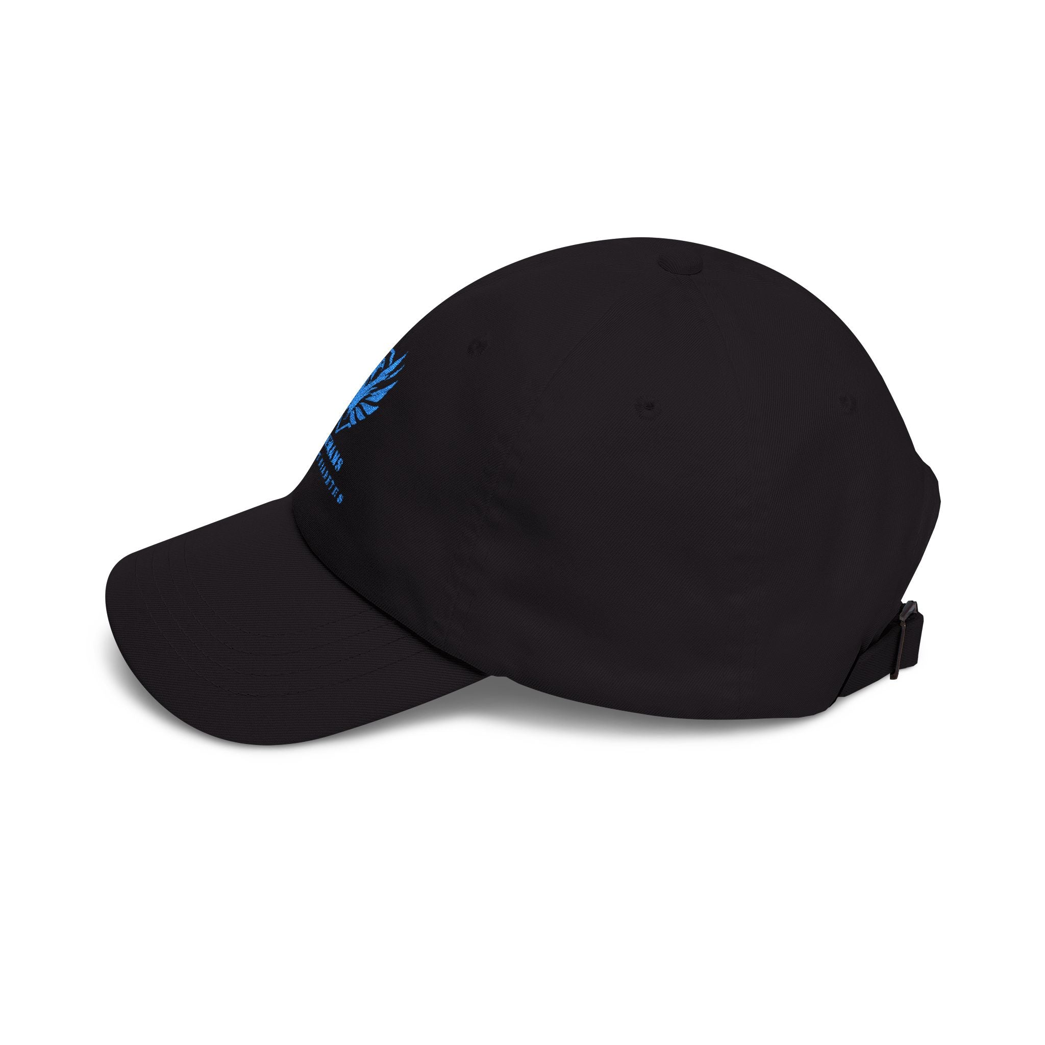 Veterans Against Diabetes Dad Cap — Embroidered Blue Logo Hat