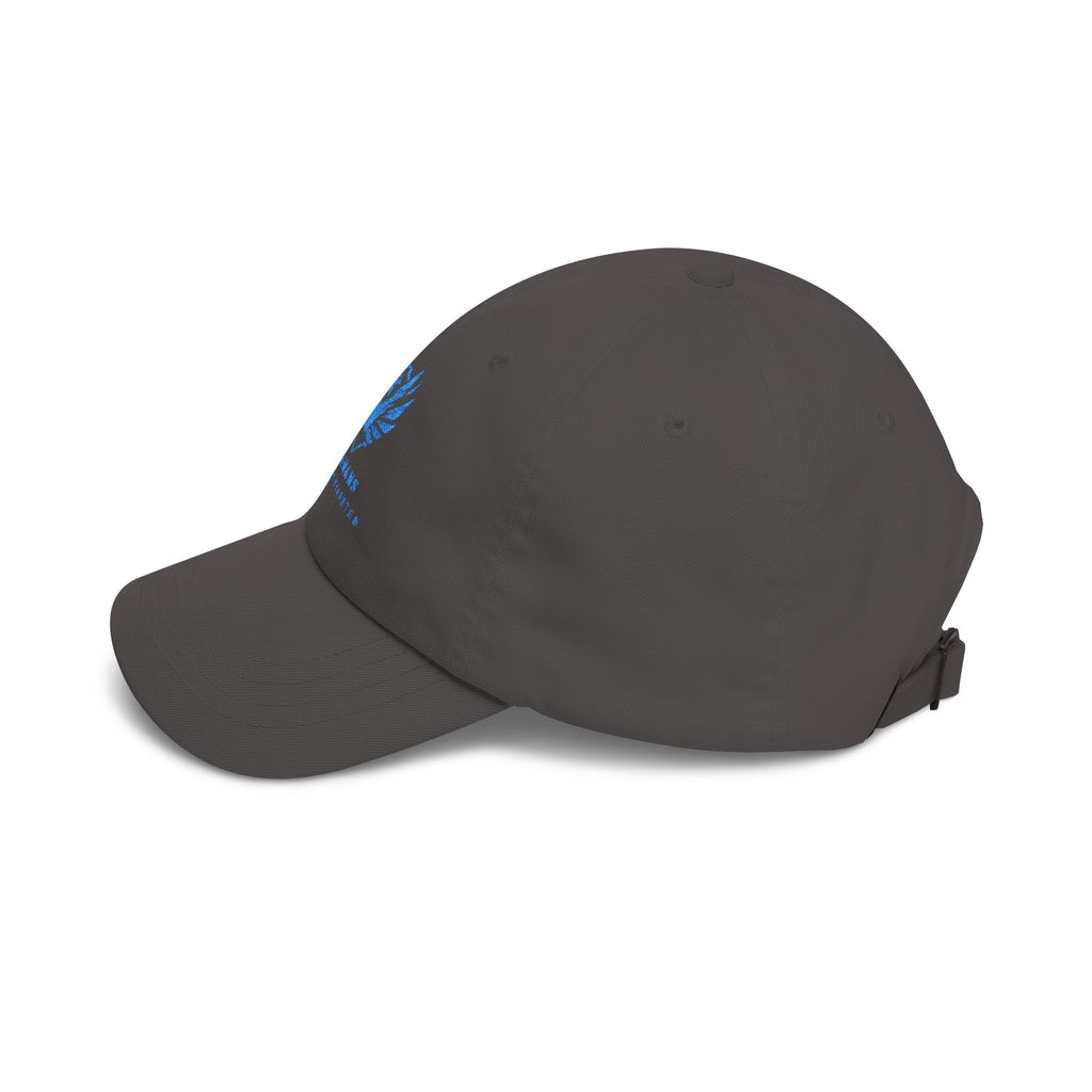 Veterans Against Diabetes Dad Cap — Embroidered Blue Logo Hat