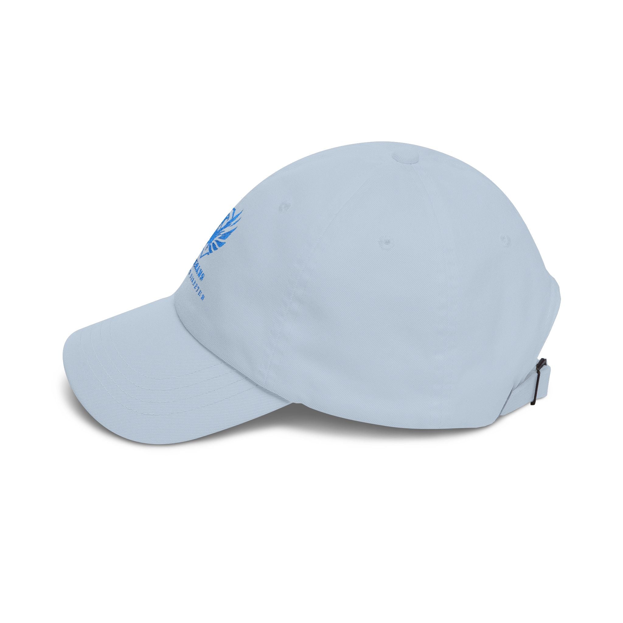 Veterans Against Diabetes Dad Cap — Embroidered Blue Logo Hat